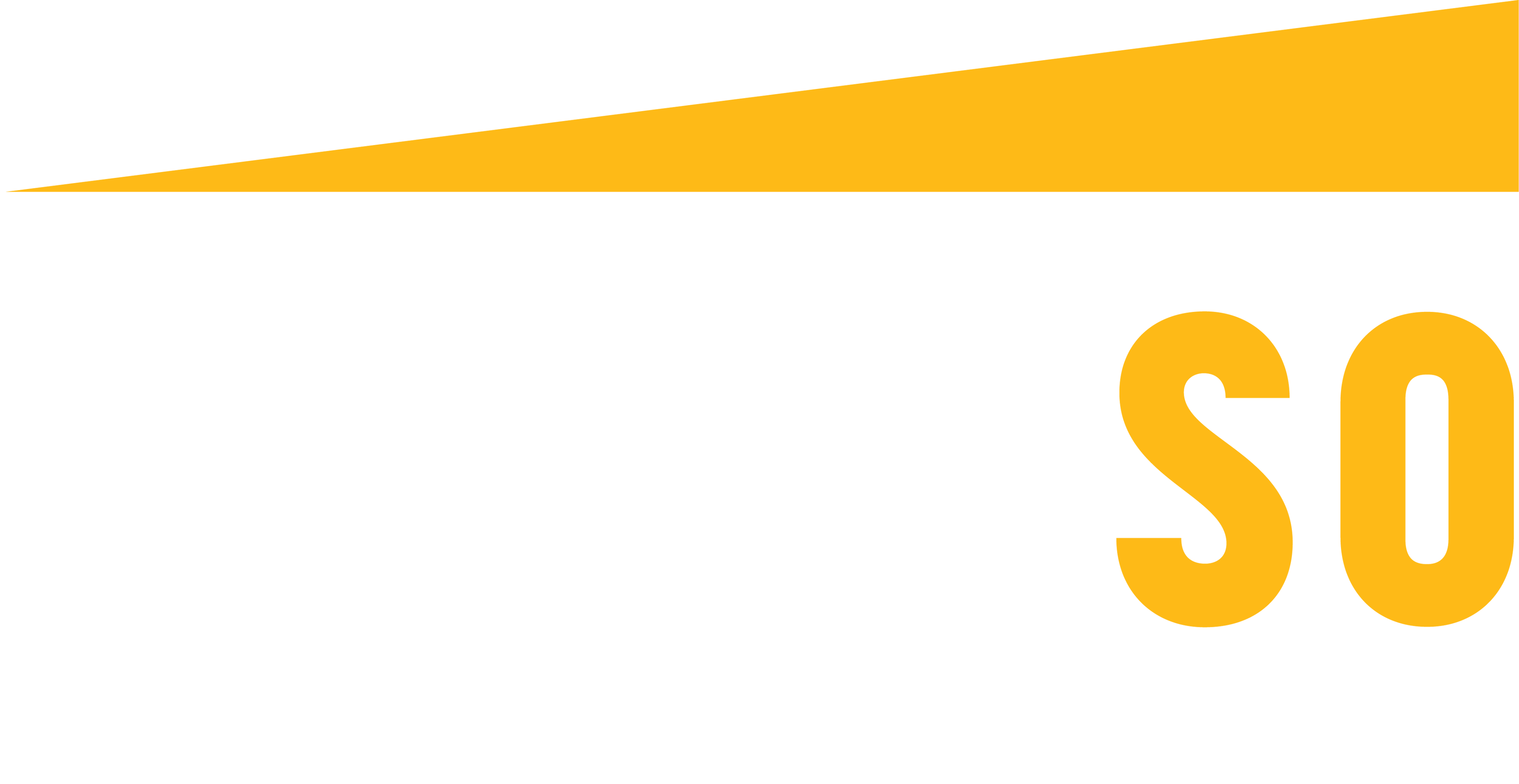 Truckso logo